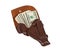 Banknotes in the leather holster