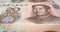 Banknotes of twenty renminbi chinese rolling on screen, cash money, loop