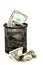 Banknotes in wastebasket