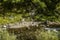 The banks of the Azat River flowing through the Garni gorge among trees and stones in Armenia.