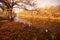 Banks of the erik river in the Volga-Akhtuba floodplain in autumn