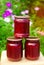 Banks with fragrant homemade raspberry jam in the garden. summer harvest. sweet food. food stock for the winter. countryside, outd