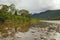 Banks of the Madre de Dios River, Amazon rainforest, Peru