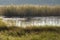 The banks of the Okavango River in Botswana, with grasses backlit by the morning light on this stretch of river preceding