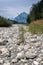 The banks of the river Rhine with rocks and driftwood and yellow marsh grass and mountains behind