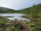 Banks of shallow volcanic lake Lagoa Rasa surrounded by lush green forest, foggy day, the island of Sao Miguel, Azores