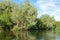 On the banks of a small river rising silver willow