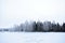 On the banks of the snow pond forest, landscape Park tree branches in the ice. Frozen pond pond field. Cloudy