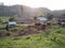 Bankul, tripurar,india, beautiful buffalo farming