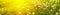 Banner 3:1. Panorama field with blowball dandelions against blue sky and sun beams. Spring background. Soft focus