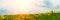 Banner 3:1. Panorama field with yellow dandelions against blue sky and sun beams. Spring background. Soft focus