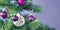 Banner with beautiful purple glass tree bauble with decorated Christmas tree with other seasonal tree ornaments