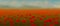 Banner beautiful rural scenery poppy field. Landscape painting with nature