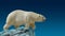 Banner with big polar bear standing and calling at iceberg chunk in gradient deep blue polar sky background with copy space,