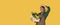 Banner With Black Farmer Woman Holding Vegetables Box, Yellow Background