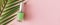 Banner Bottle of green nail polish and palm tree branch on pastel pink background. Manicure and pedicure concept. Flat