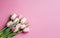 Banner with Bouquet of pink and white tulips closeup on pink background.Mothers day,Valentines Day,Birthday celebration concept.