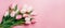 Banner with Bouquet of pink and white tulips closeup on pink background.Mothers day,Valentines Day,Birthday celebration concept.