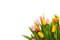 Banner with a bouquet of tulips on white background. Flat lay, top view with copyspace isolated on white.