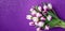 Banner with Bouquet of white and purple tulips closeup on purple background.Mothers day,Valentines Day,Birthday celebration