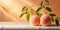 A banner with an bright orange isolated peaches with green leaf on a white uneven surface on a peach fuzz color