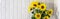 banner of A bunch of sunflowers in a black vase on a rustic white wooden table