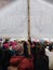 Banner Carried at the Womens March, Washington, DC, USA