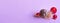 Banner. Charming pet. Decorative rat Dumbo on lilac background. Christmas toys. Year of the rat. Chinese New Year