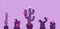 Banner with Christmas cacti in purple. Vector graphics