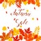 Banner with colored autumn leaves for bright, seasonal design, v