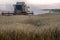 Banner combine harvester harvests ripe wheat. agriculture, sunset