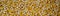 Banner corn grits groat background. Top view, closeup