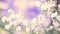 Banner Defocus natural background blurred small flowers on a branch. Surrealism