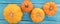 Banner, different sorts of pumpkins in front of blue wooden table