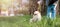 Banner dog training. A woman trains a white fluffy Pomeranian. Green park in the background. Copy space