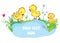 Banner with ducks, pond and flowers - for kindergarten