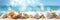 A banner featuring seashells and starfish scattered on a sandy beach, set against a backdrop of blurred sea water and