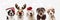 Banner five dogs celebrating christmas holidays wearing a red santa claus hat, reindeer antlers and red present ribbon. Isolated