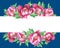 Banner with flowering pink peonies, isolated on blue background.