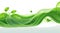 Banner with fresh plant leaves and green organic floating water waves on a white background.
