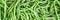 Banner, fresh raw Phaseolus vulgaris, green bush beans, topview