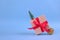 Banner with gift box with red bow and Christmas tree decorations on festive blue background with blurred bokeh and copyspace for