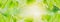 Banner and header horizontal panoramic-close up green leaf blurred background,fresh nature view beautiful,with sunlight and bokeh