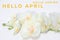 Banner hello april. Hi spring. The second month of spring. Welcome card