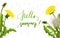 Banner hello summer dandelion seed background lettering