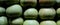 Banner of homemade apples of different sizes perfectly stacked in a crate. Apples in a crate in a storeroom in a dark room to keep