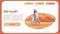 Banner Illustration Spaceship Surface Red Planet