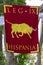 banner of the IX Roman legion, hispania