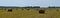 Banner with a large field on which there are many bales of hay