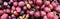 Banner with large pile of brushes of ripe red grapes as the background. Copy space